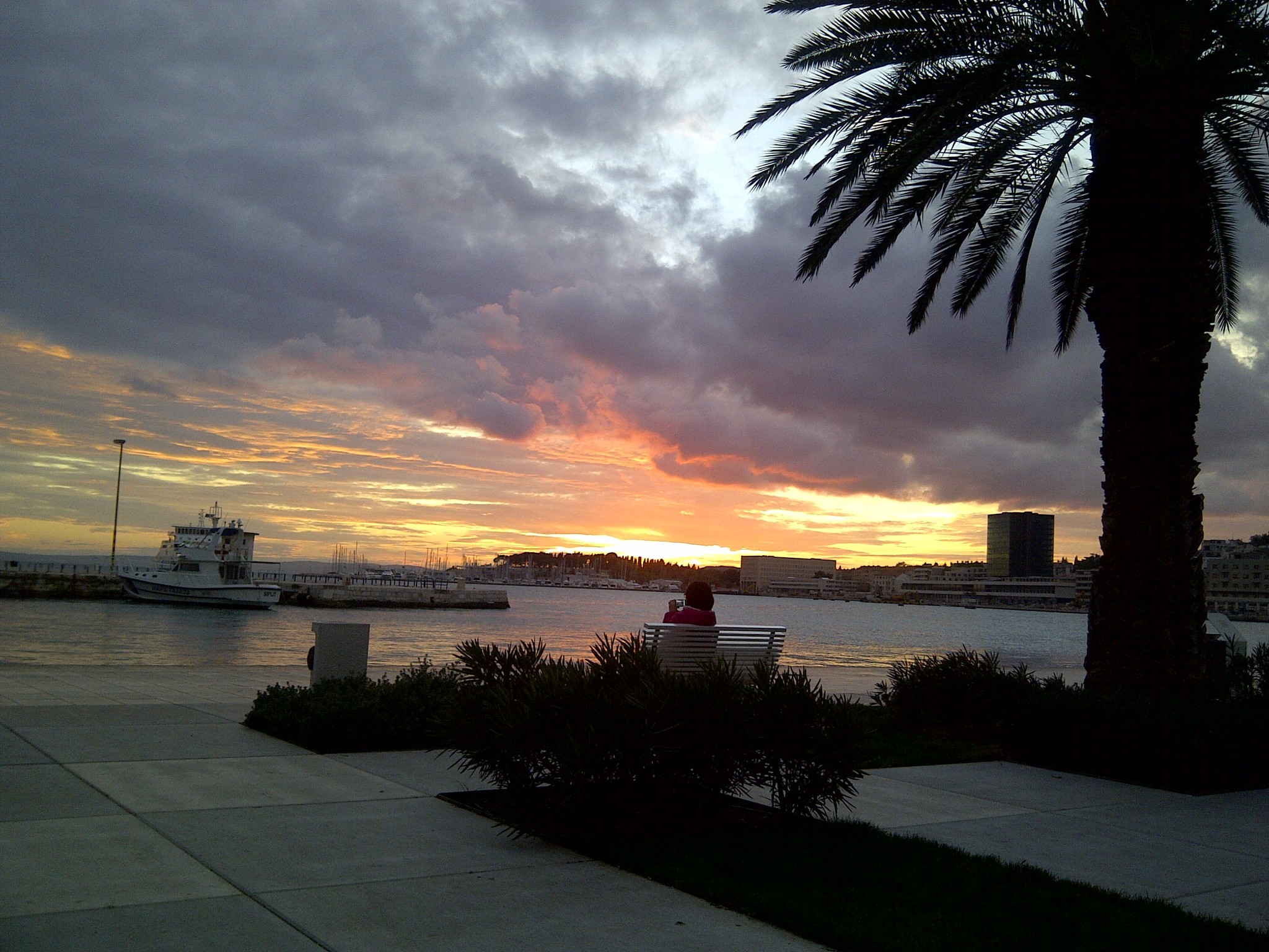 Waterfront sunset in Croatia with a palm tree and a person seated by the harbor