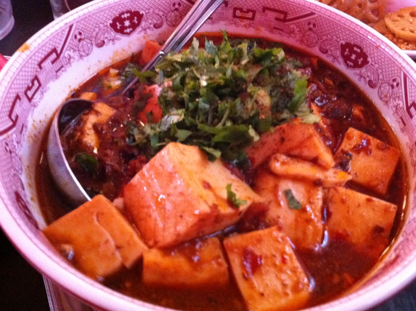 Close view of the mapo tofu