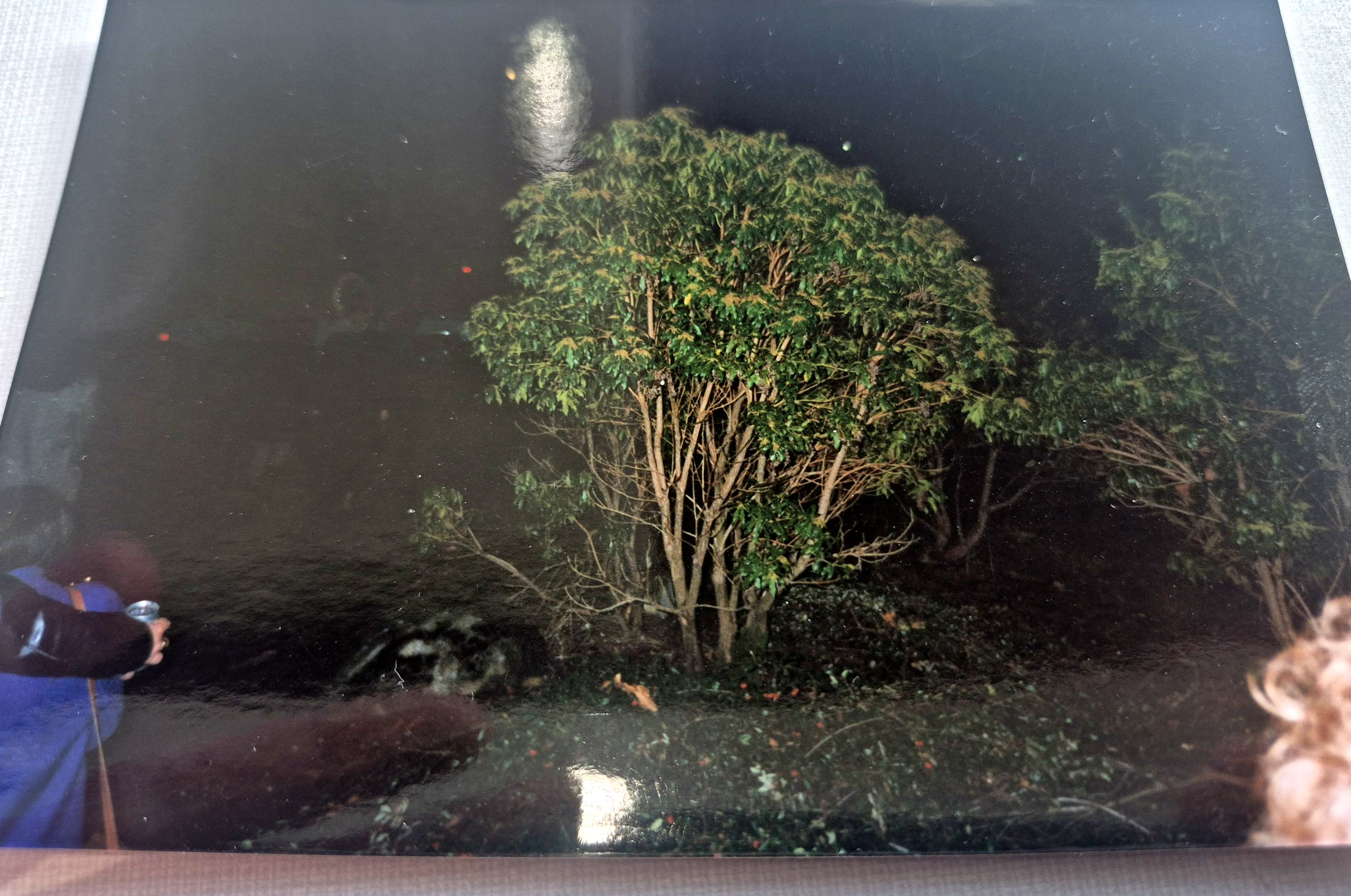Night exterior from the recovered roll
